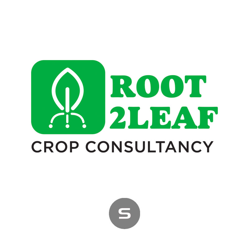Root 2 Leaf